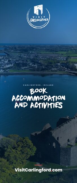 Book accommodation & activities — Roll-up banner