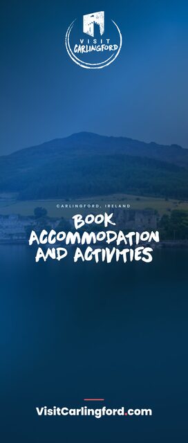 Book accommodation & activities — Roll-up banner