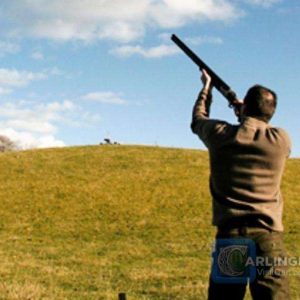Clay-Pigeon-Shooting-2